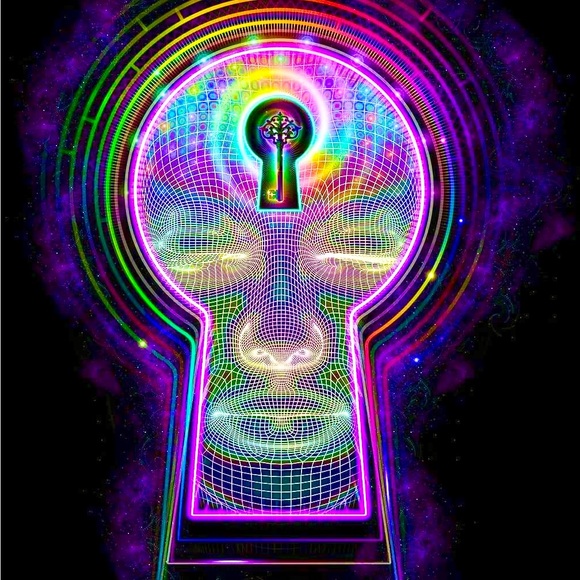 Meet your Posher, Anna - Picture 3 of 6